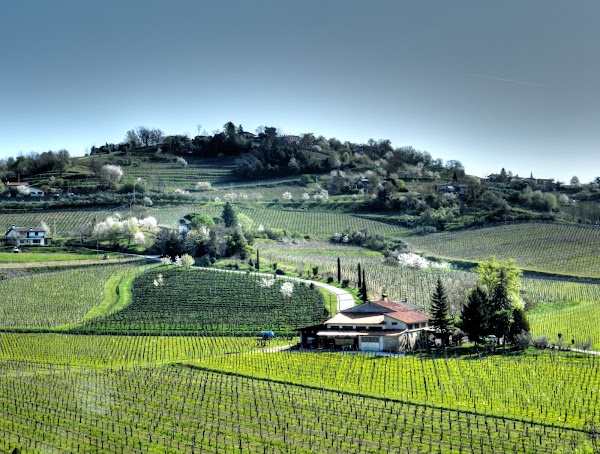 Municipality of Brda 1