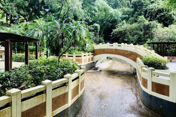 Orchid Valley