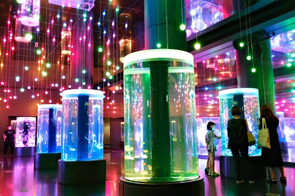 Maxell Aqua Park Shinagawa 5