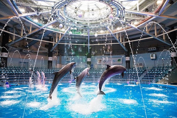 Maxell Aqua Park Shinagawa 4