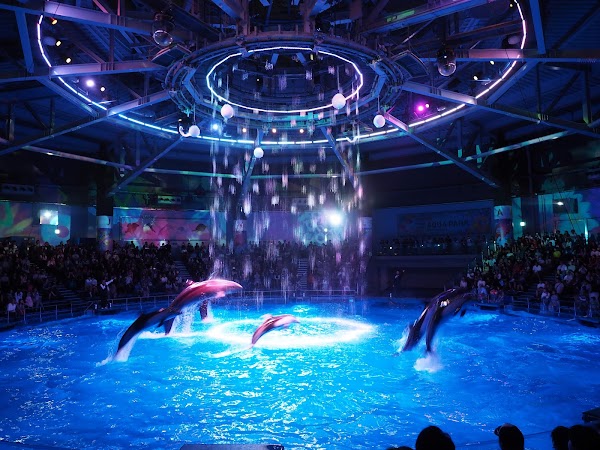 Maxell Aqua Park Shinagawa 3