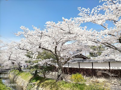 Tetsugaku No Michi 2