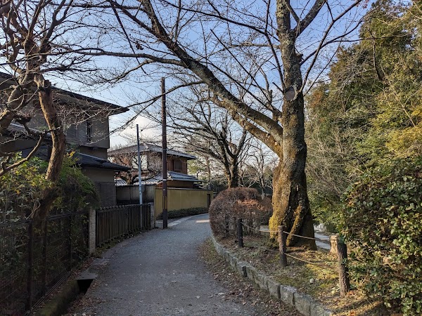 Tetsugaku No Michi 5