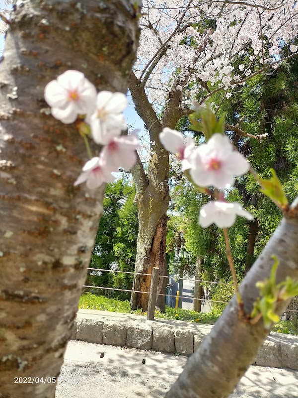 Tetsugaku No Michi 4