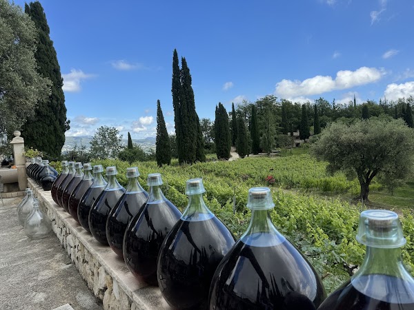 Vineyard Saint Jeannet - Domaine des Hautes Hills 4