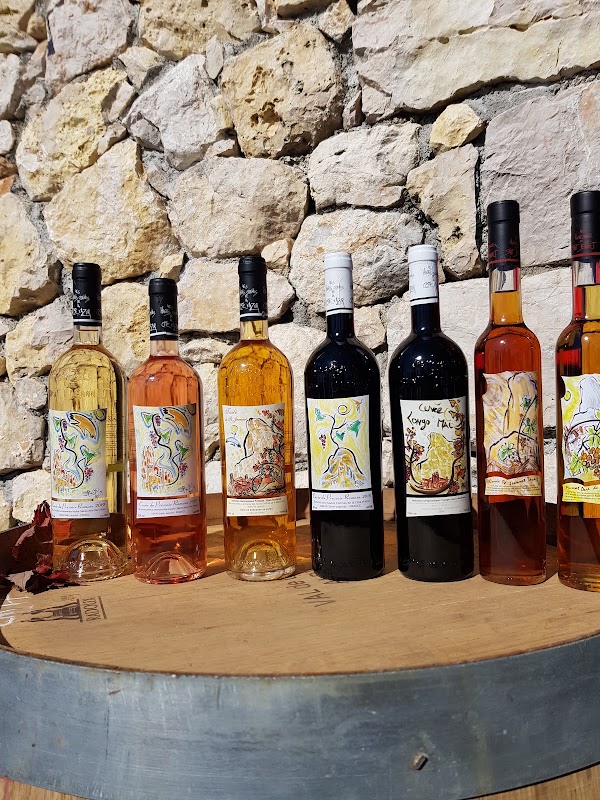Vineyard Saint Jeannet - Domaine des Hautes Hills 3