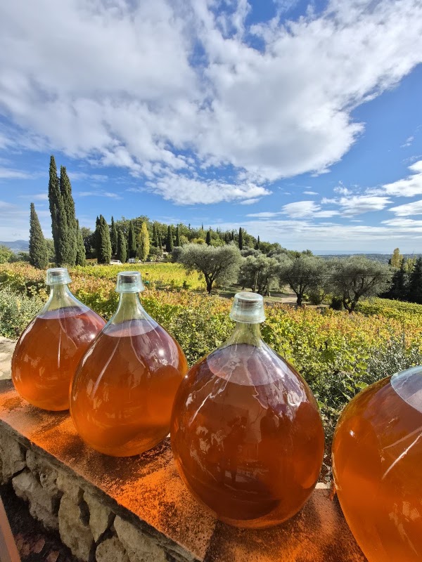 Vineyard Saint Jeannet - Domaine des Hautes Hills 2
