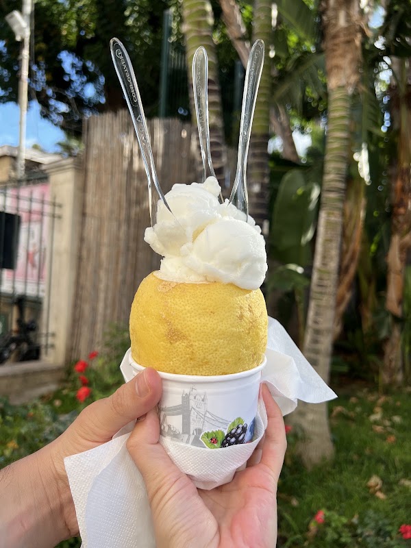 Il Pianeta Del Gelato 3