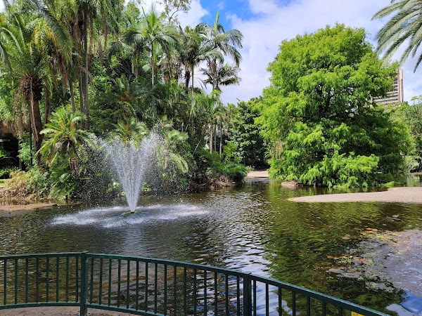 Brisbane City Botanic Gardens 5