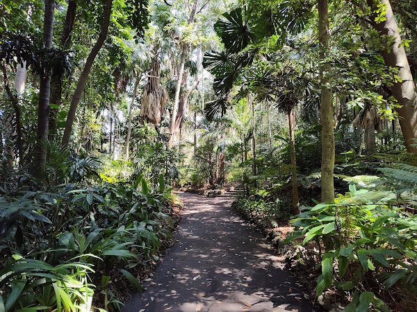 Brisbane City Botanic Gardens 4