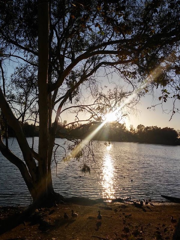 Centennial Park