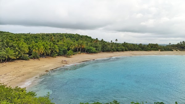 Las Palmas Beach 1