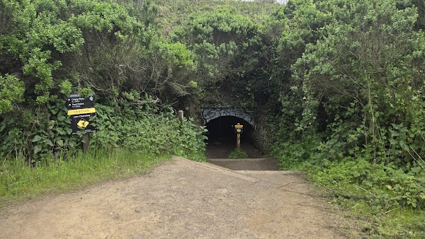 Golden Gate Picnic Spot 5