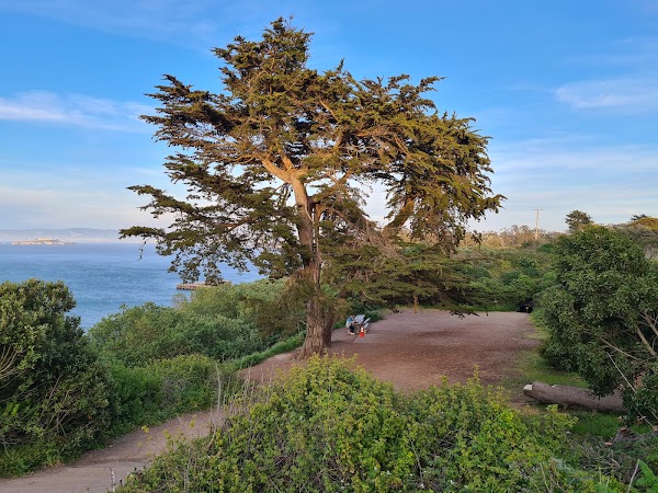 Golden Gate Picnic Spot 3