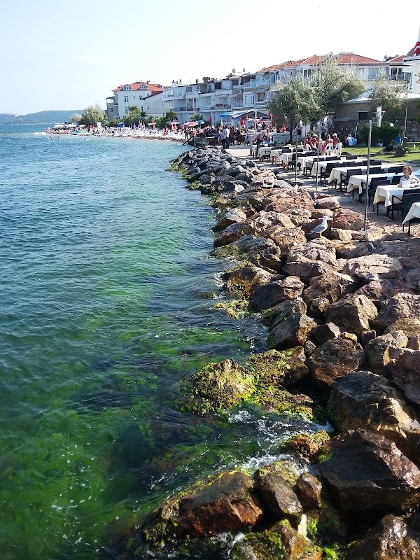 Adalar 4