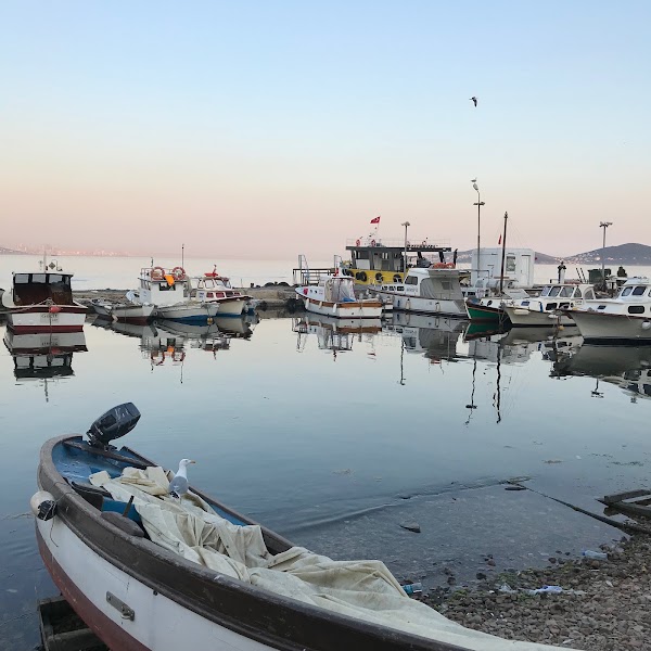 Adalar 2