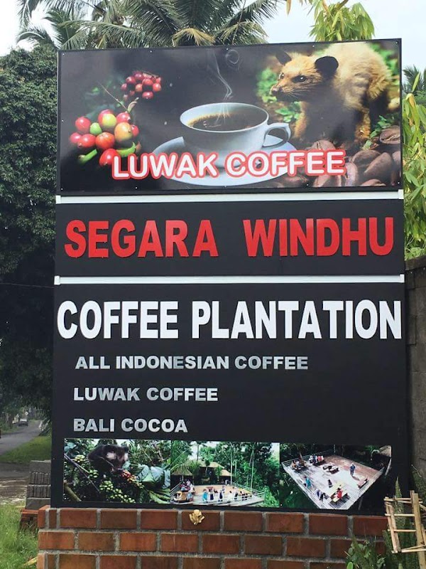 Segara Windhu Coffee Plantation