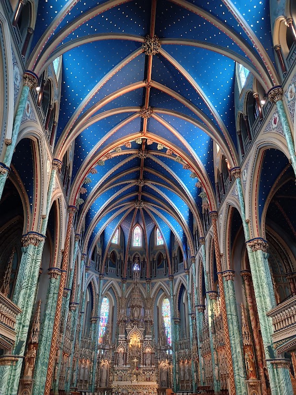 Notre-Dame Cathedral Basilica 1