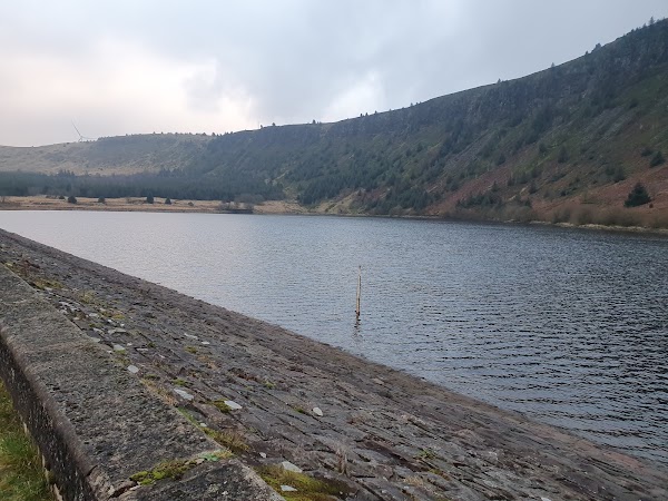 Llyn Fawr 5