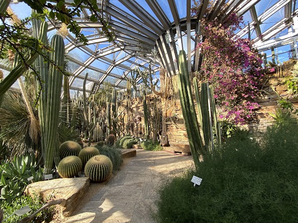 Botanical Garden and Botanical Museum 4