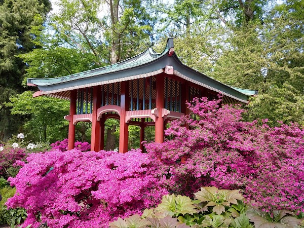 Botanical Garden and Botanical Museum 2