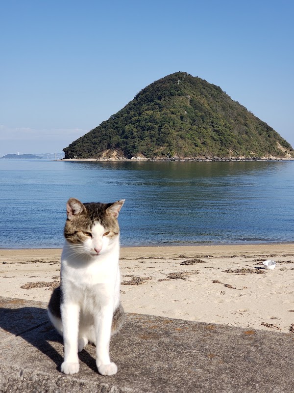 Sanagi Island 5
