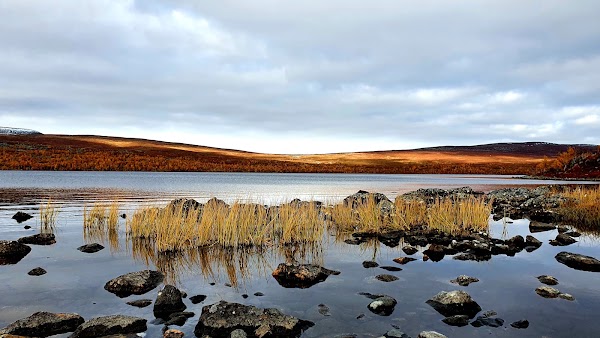 Tsahkaljärvi