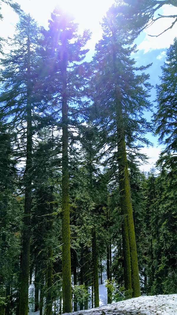 Crystal Creek Falls Trail 3