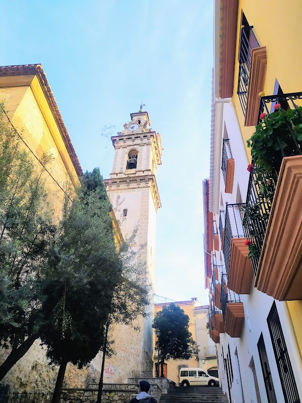 Oliva