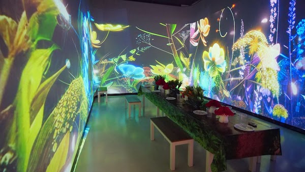 11 MAX Indoor Fun Park 5