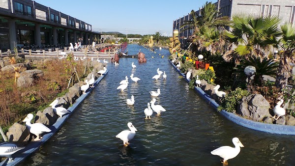 The Venice Land