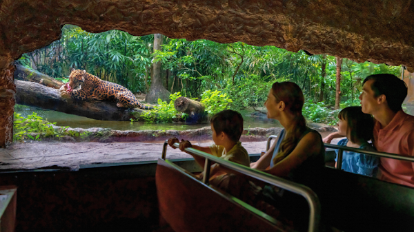 Amazon River Quest