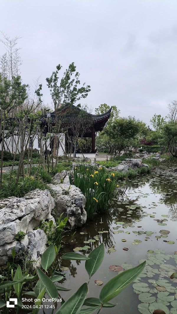 Binjiang Forest Park Phase 2 5