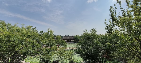 Binjiang Forest Park Phase 2 3