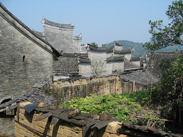Langzi 1