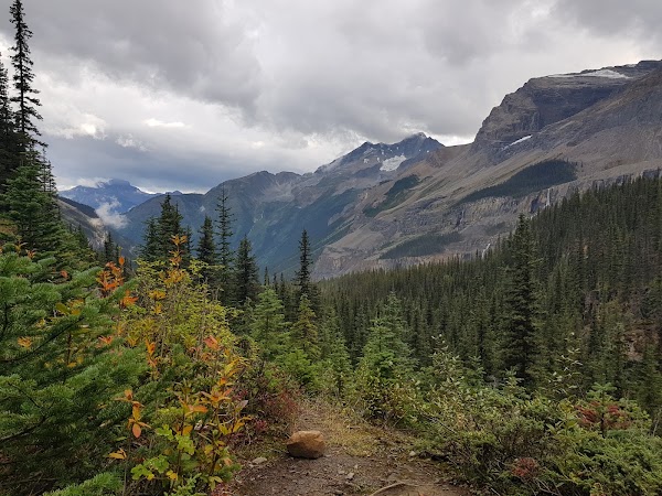 Emperor Falls Campsite 3