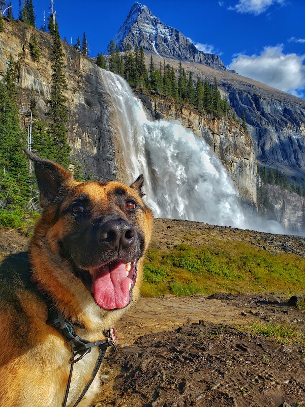 Emperor Falls Campsite 2