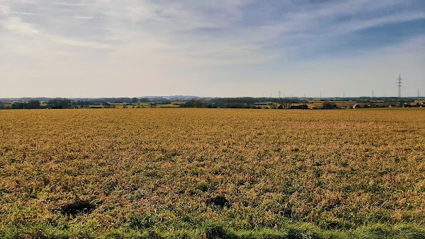 Mont-de-l'Enclus
