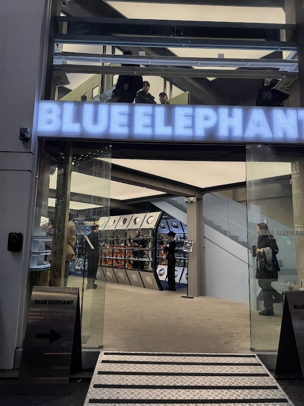 블루엘리펀트 명동 쇼룸 BLUEELEPHANT MYEONGDONG SHOWROOM