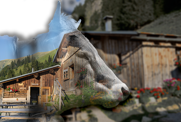 Petersalpe, Rappenalptal 4
