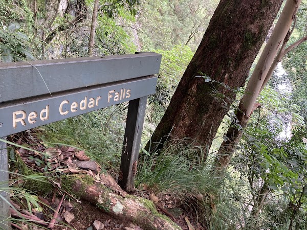 Red Cedar Falls 4
