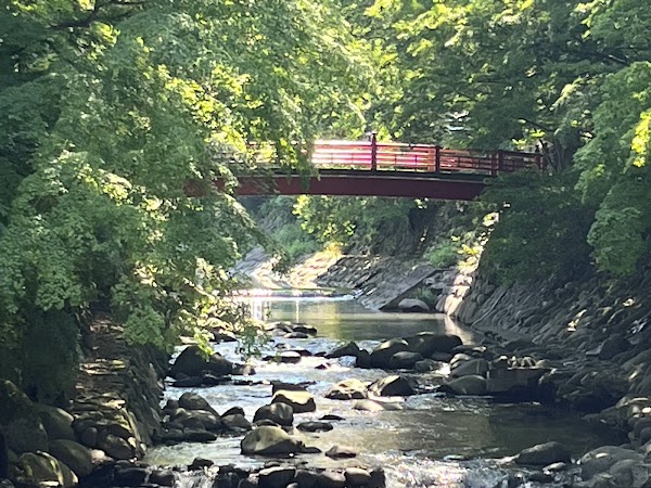 Katsura River 1