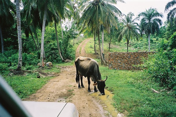 Cabarete 3