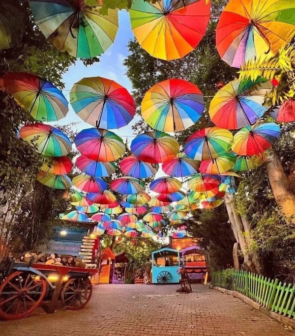 Colorful Stairs