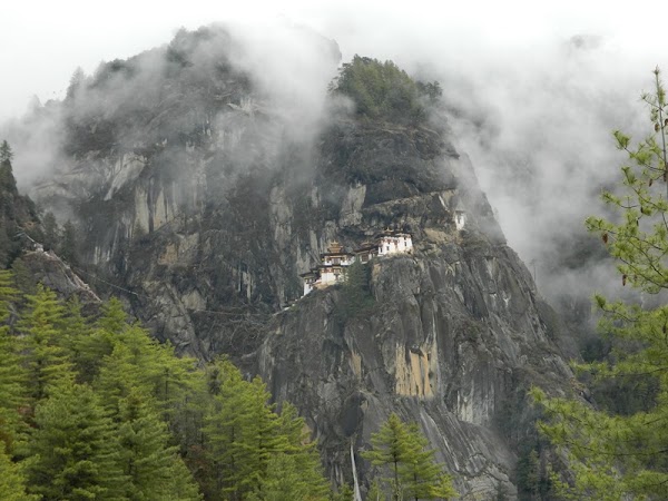 Paro Taktsang (Tiger's Nest Monastery) 5