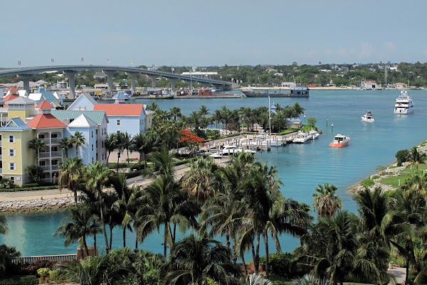 Paradise Island 5