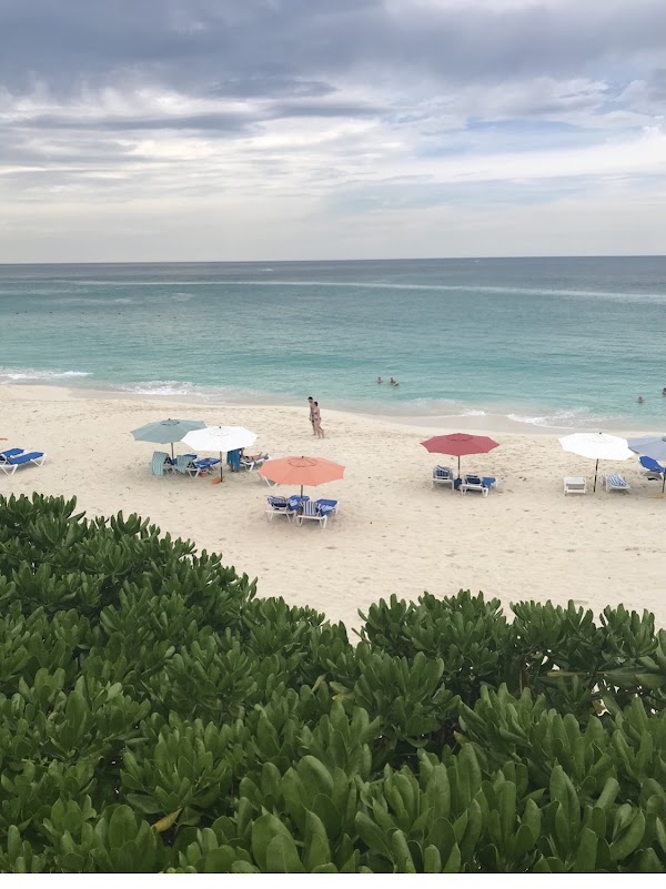Paradise Island 4