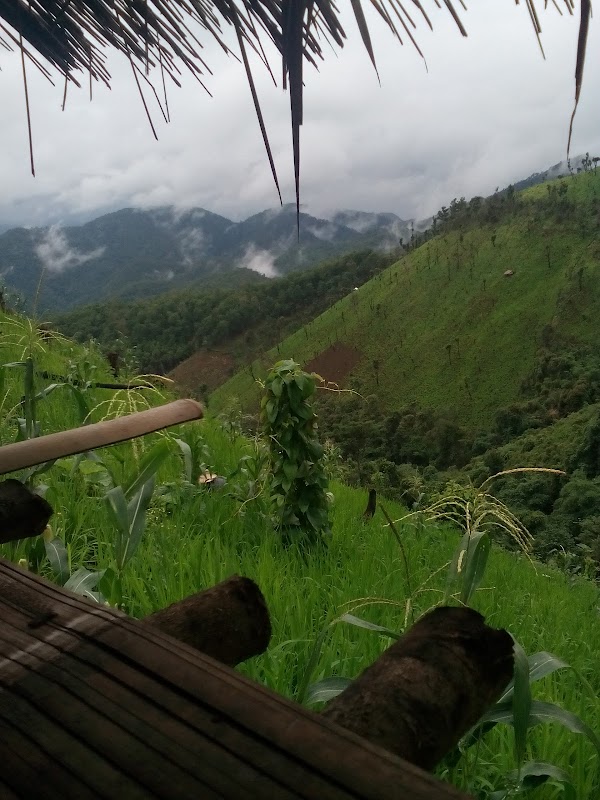 Mae Sariang 5