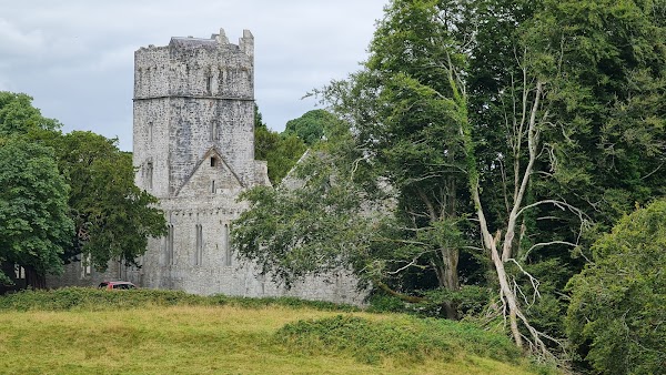 Muckross Abbey 5