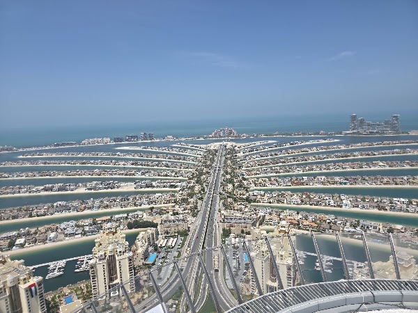 The View at the Palm 5